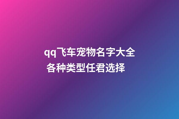qq飞车宠物名字大全 各种类型任君选择